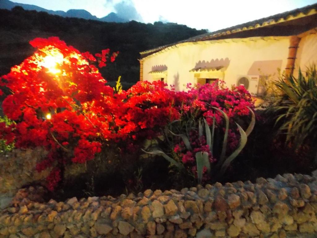 Casale Del Golfo Guest House Castellammare del Golfo Ngoại thất bức ảnh